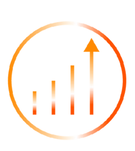 E-trgovina u BiH: zakonodavstvo, isporuka i profitabilnost