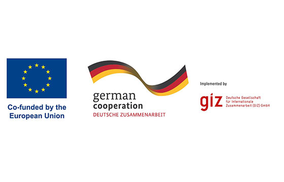 Organizacijski partneri - GIZ